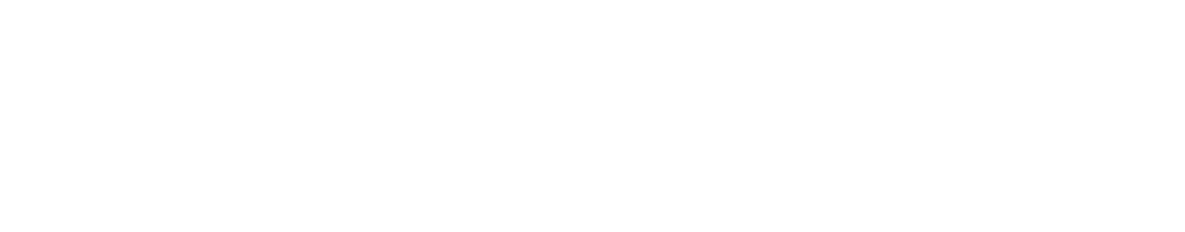Wired Terra